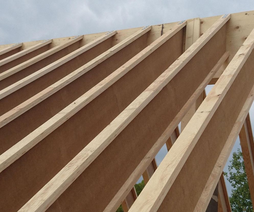 I-BEAMS System